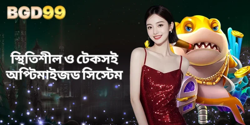 স্থিতিশীল ও টেকসই অপ্টিমাইজড সিস্টেম